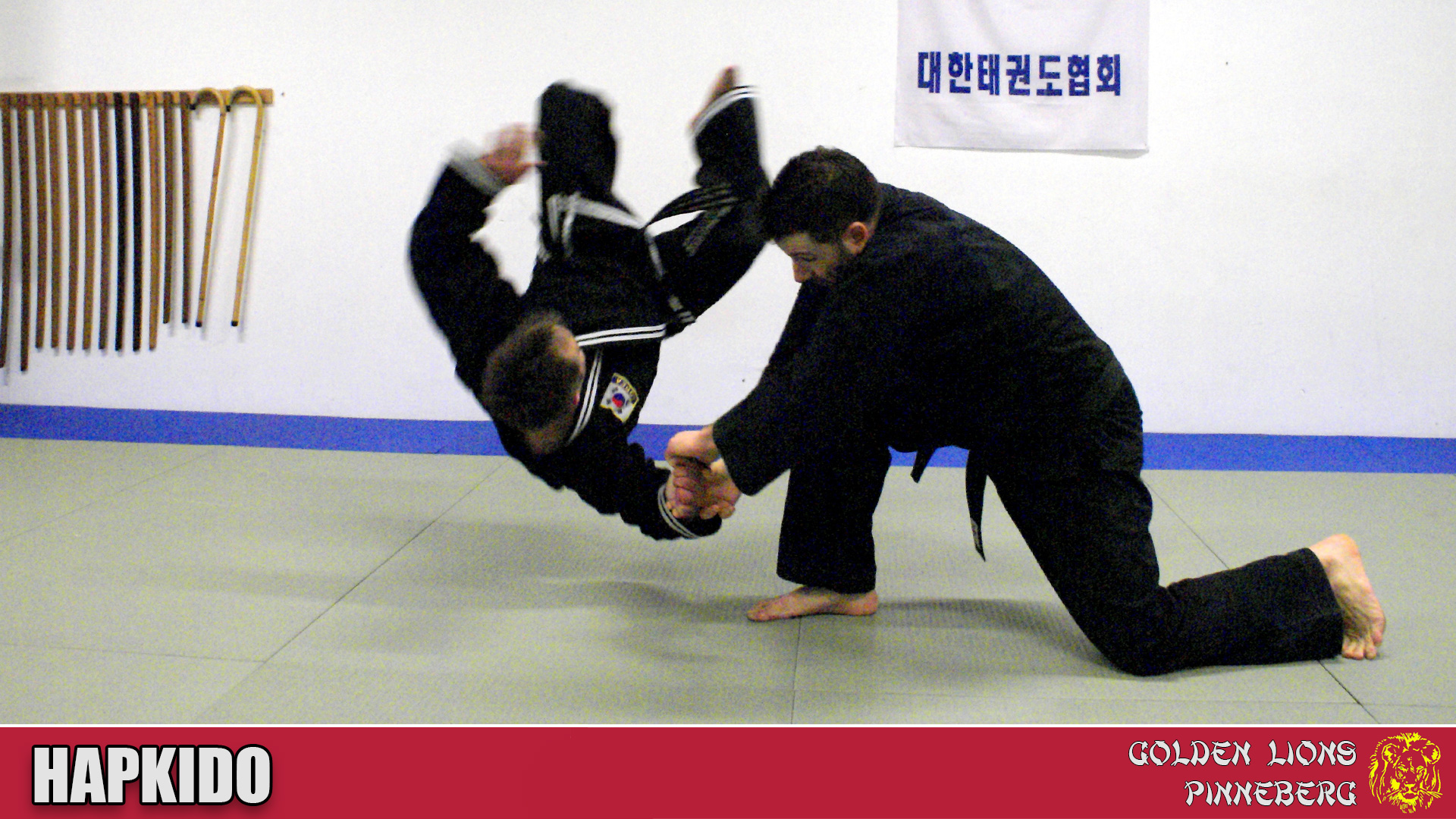 Hapkido21