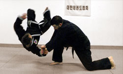 hapkido